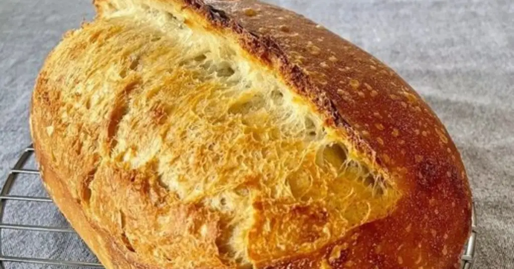 Si quieres preparar un exquisito pan preparado por ti mismo, aquí te traemos simplemente mejor que cualquier receta de pan casero