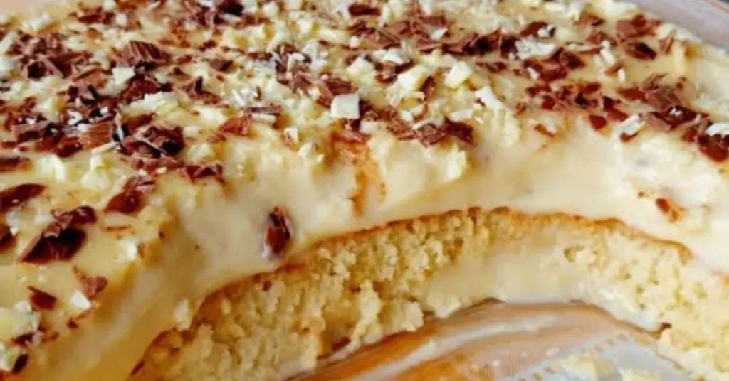 Si quieres preparar un exquisito postre y rápido anímate a preparar este postre de leche facil en 5 minutos ¡Sin horno y extremadamente rico!